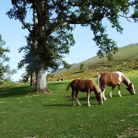 Дом отдыха Atchouetos