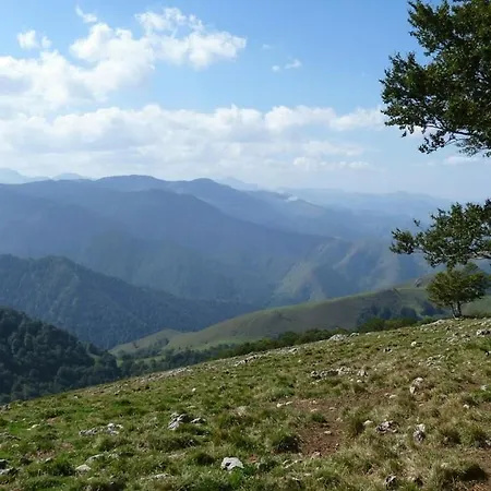 Atchouetos * Aramits