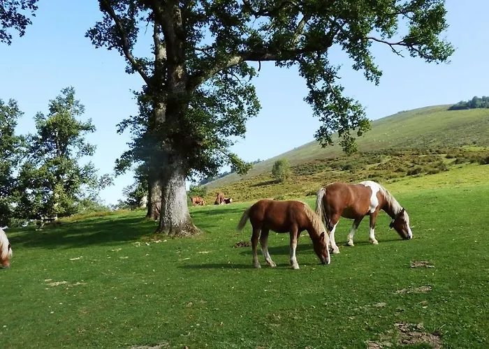 Feriehus Atchouetos *